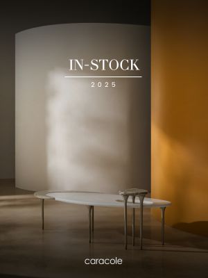 IN-STOCK 2025